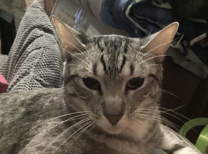 Charlie The Crazy One