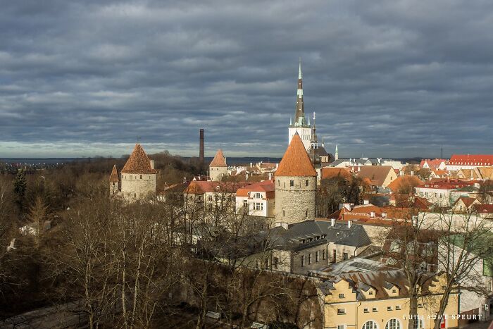 Scenes From Tallin (7 Pics)