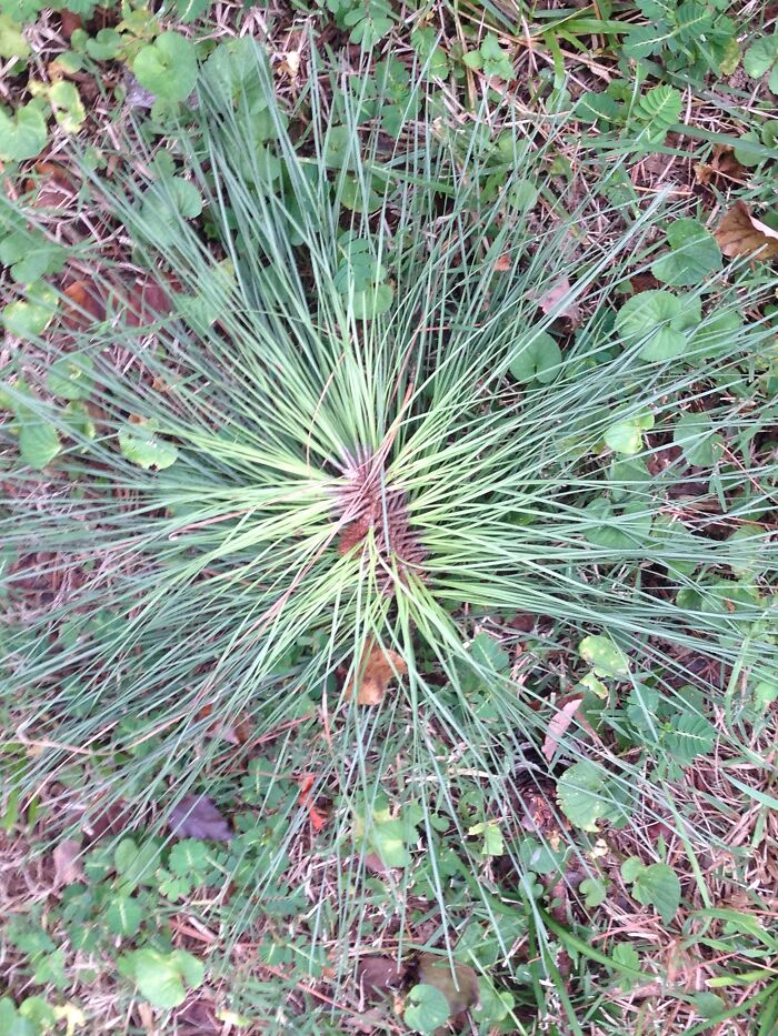 The Colors Caught My Eye