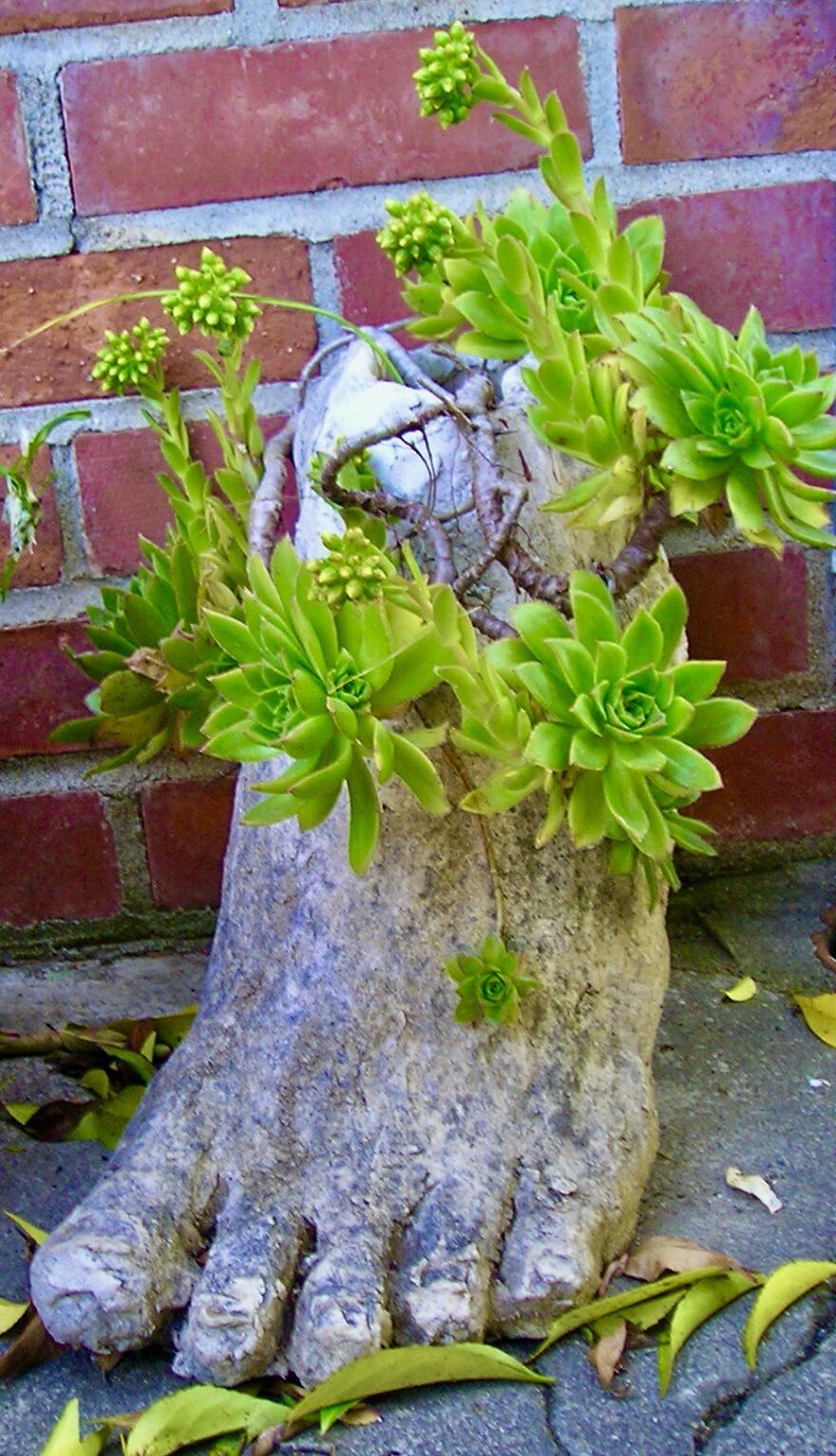 Feature Famous Artist: Genessa Kealoha