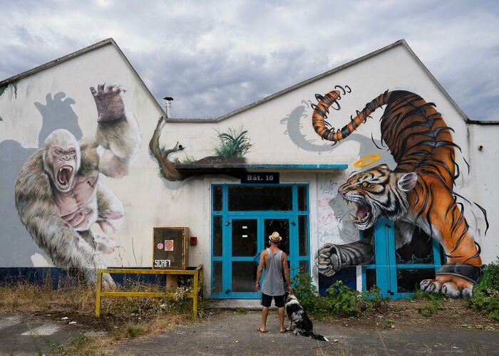 French Street Artist Paints 3D Graffiti And It’s Not For The Faint Of Heart (26 New Pics)