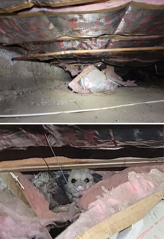 50 ‘Nightmares’ And ‘Miracles’ Spotted During Structural Inspections (New Pics)