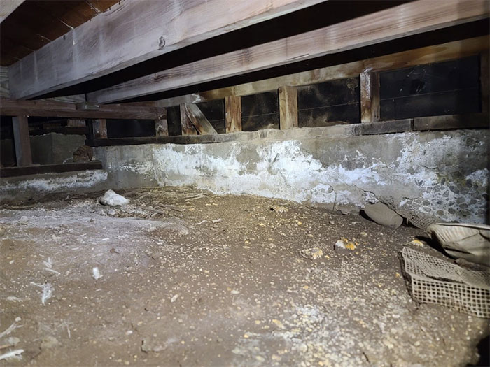 Funny-Dangerous-Structure-Fails