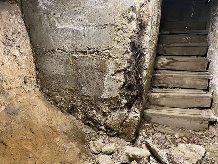 50 ‘Nightmares’ And ‘Miracles’ Spotted During Structural Inspections (New Pics)
