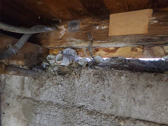 Funny-Dangerous-Structure-Fails