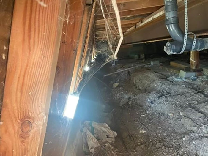 Funny-Dangerous-Structure-Fails