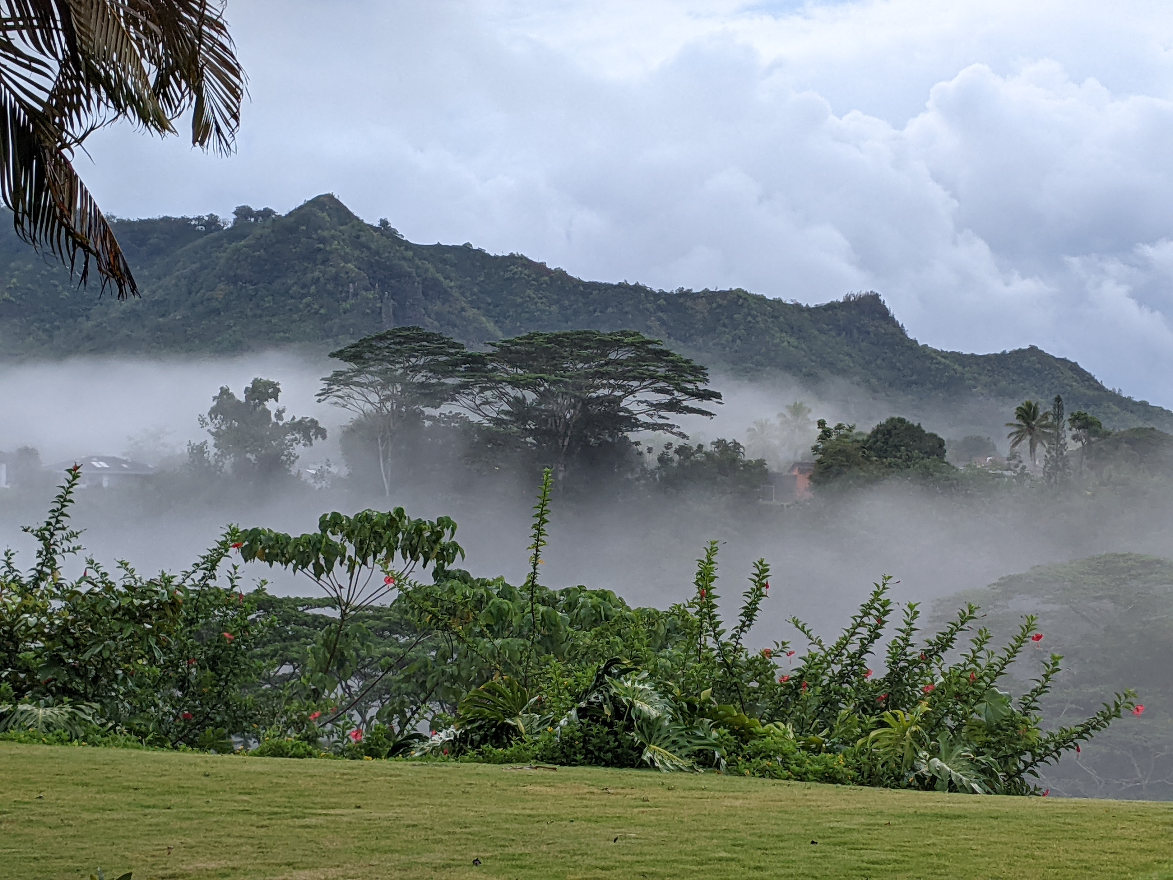 Hey Pandas, What’s The Most Amazing Thing Anybody’s Ever Done For You.