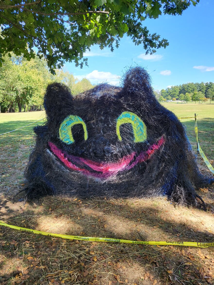 Toothless From How To Train Your Dragon