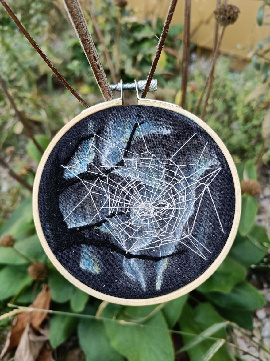 That Spider Likes The View…