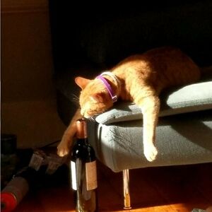 55336cf1c9857 avatar