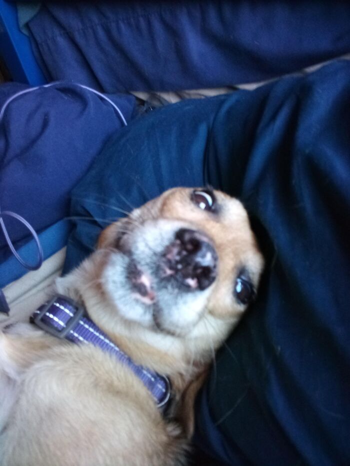 She Was Rolling Around On The Bed