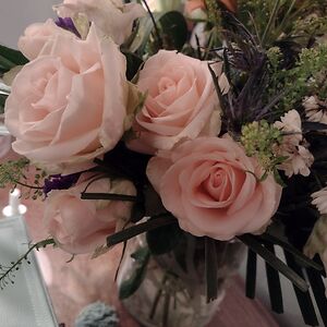 timpaulineosborne avatar