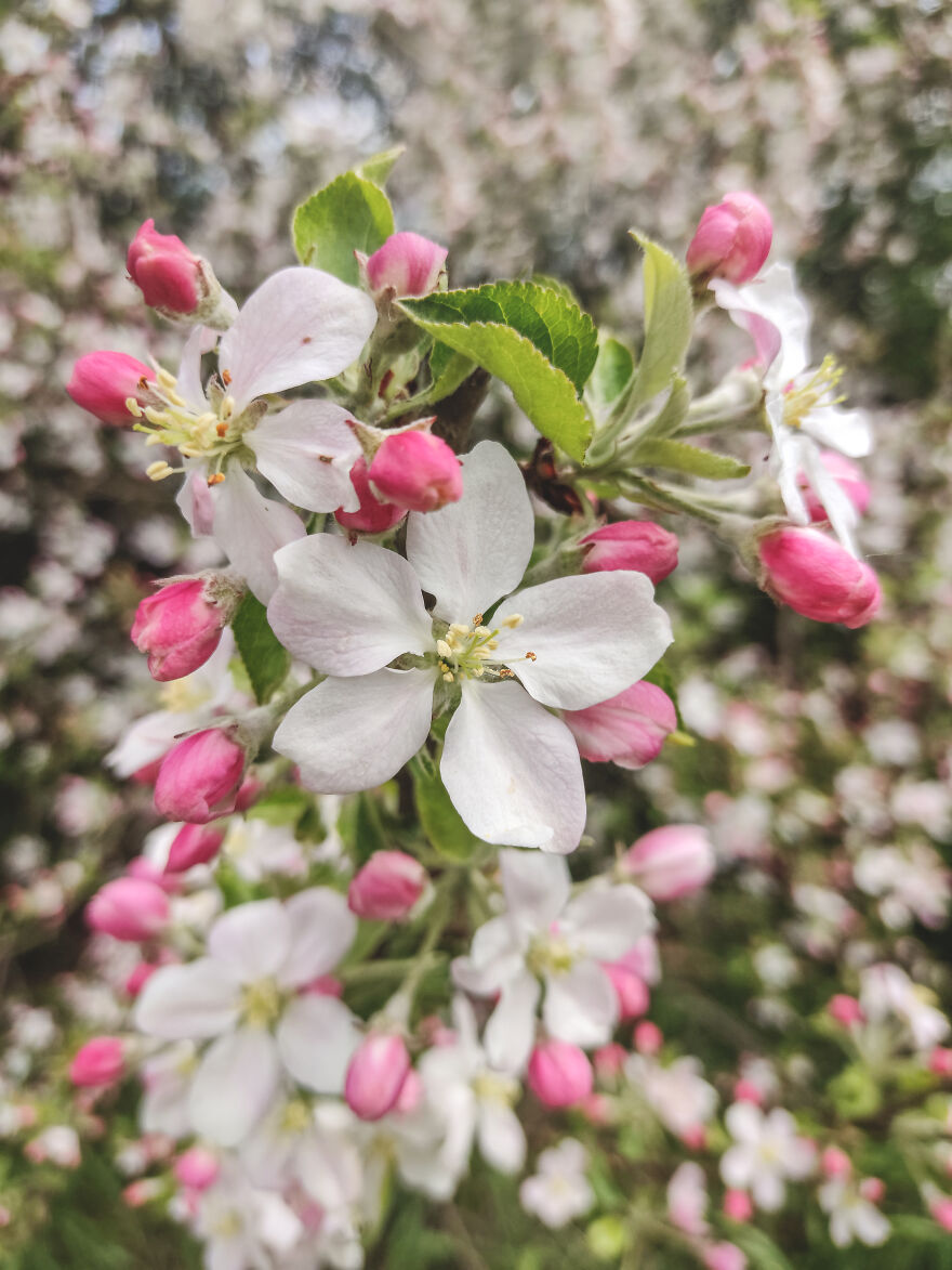 I Took Some Pics Of A Ukrainian Village