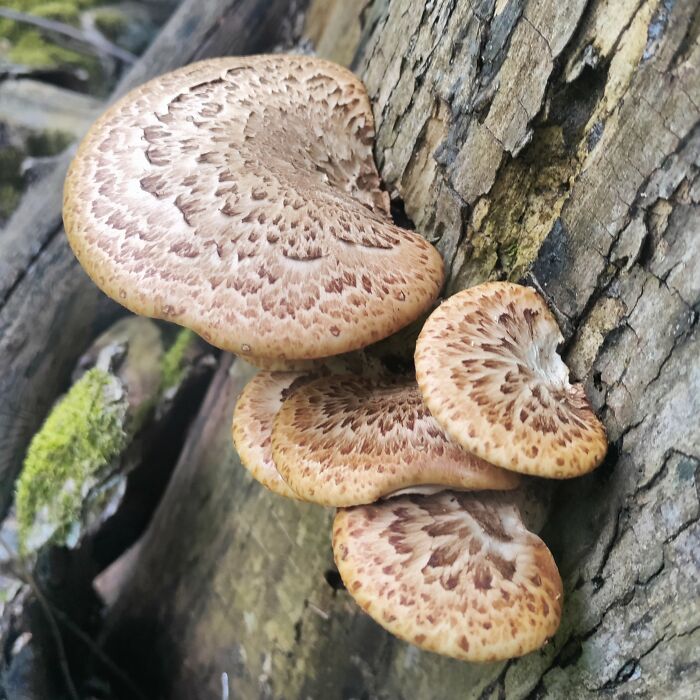 Wish I Knew Their Name