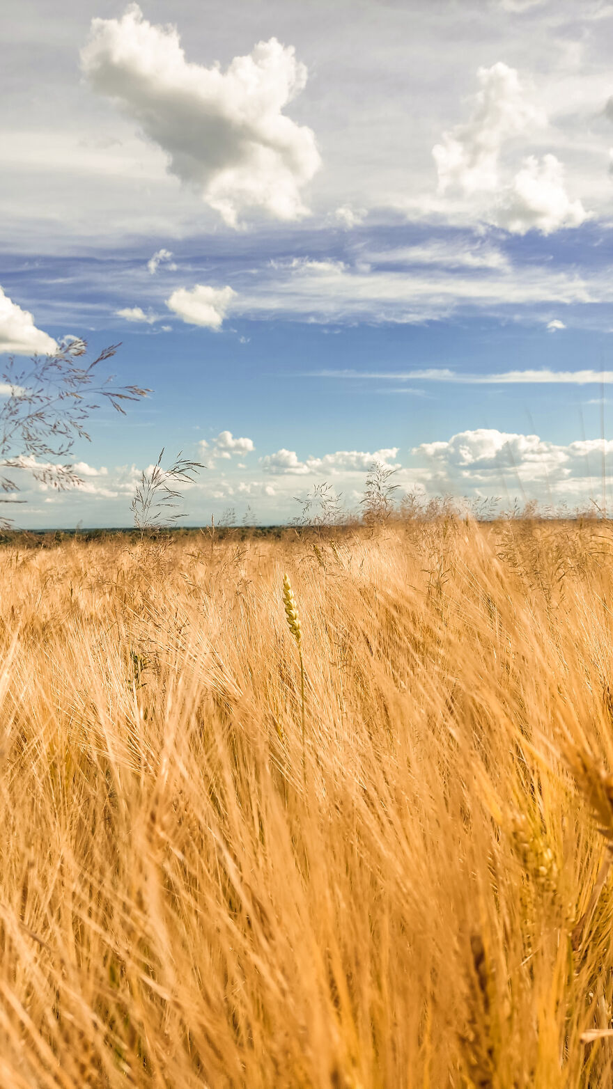 I Took Some Pics Of A Ukrainian Village