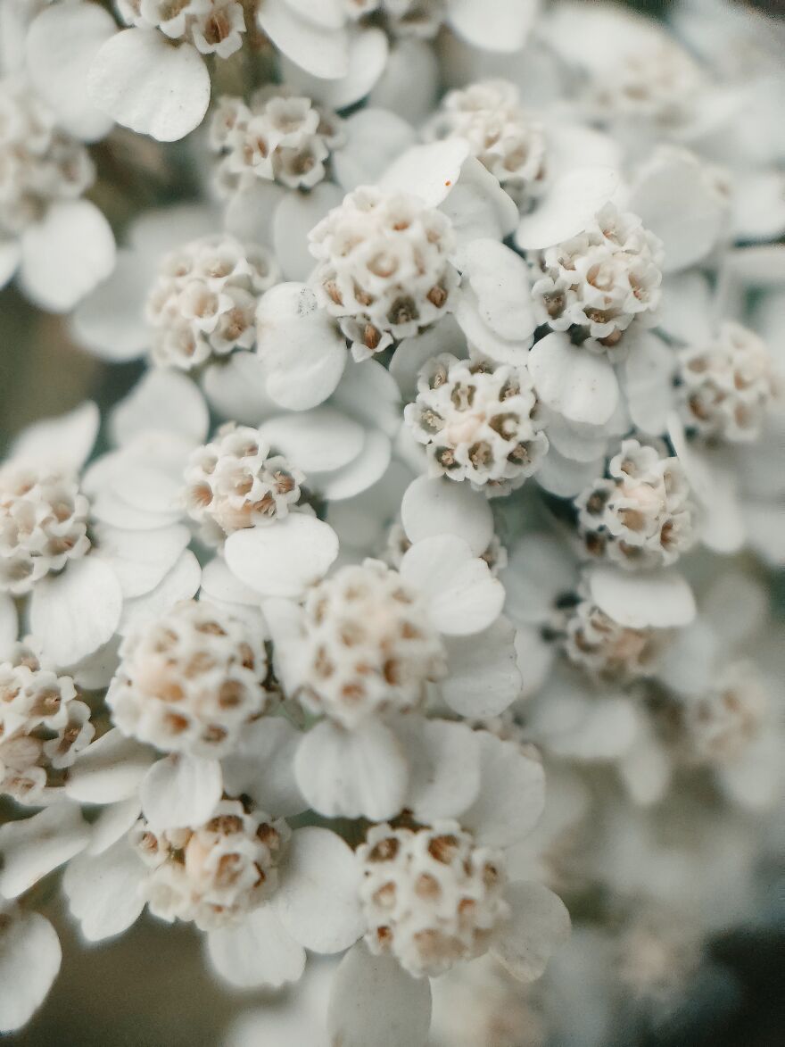 I Took Some Pics Of A Ukrainian Village