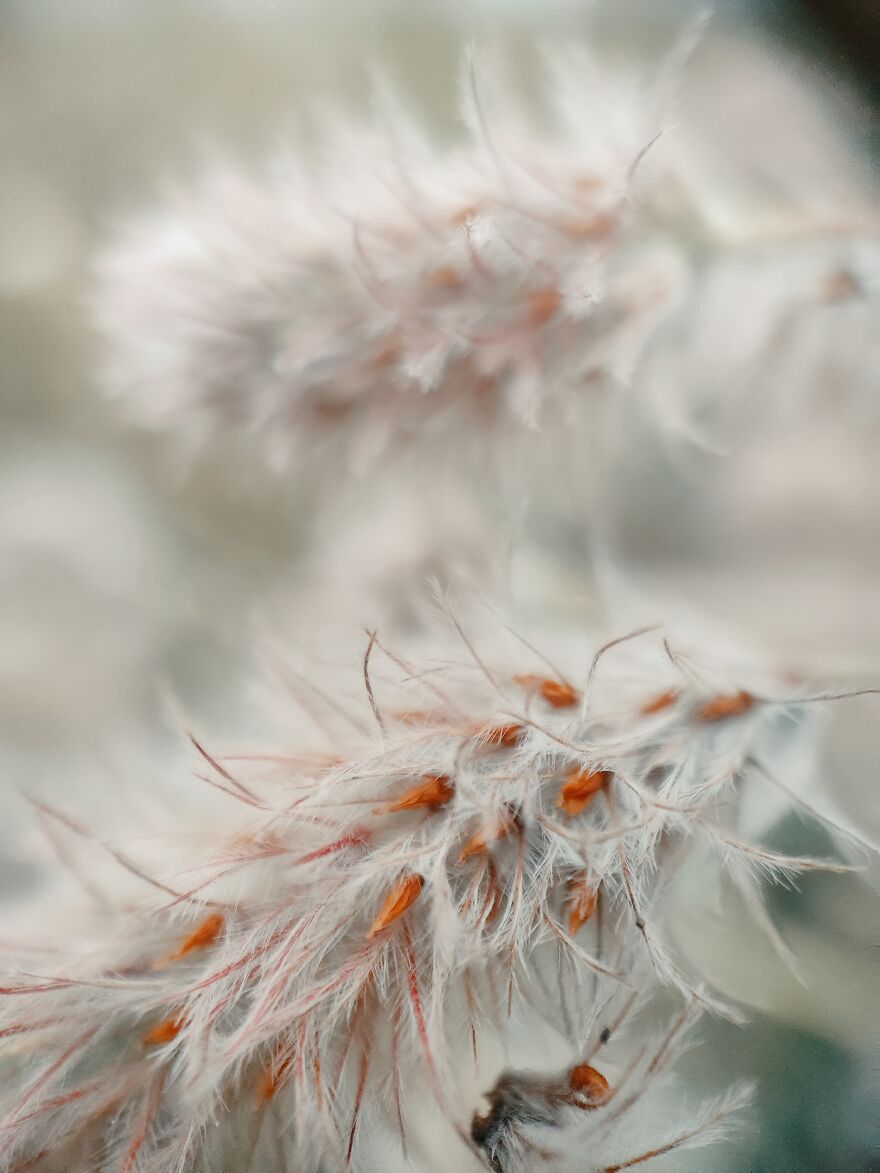 I Took Some Pics Of A Ukrainian Village