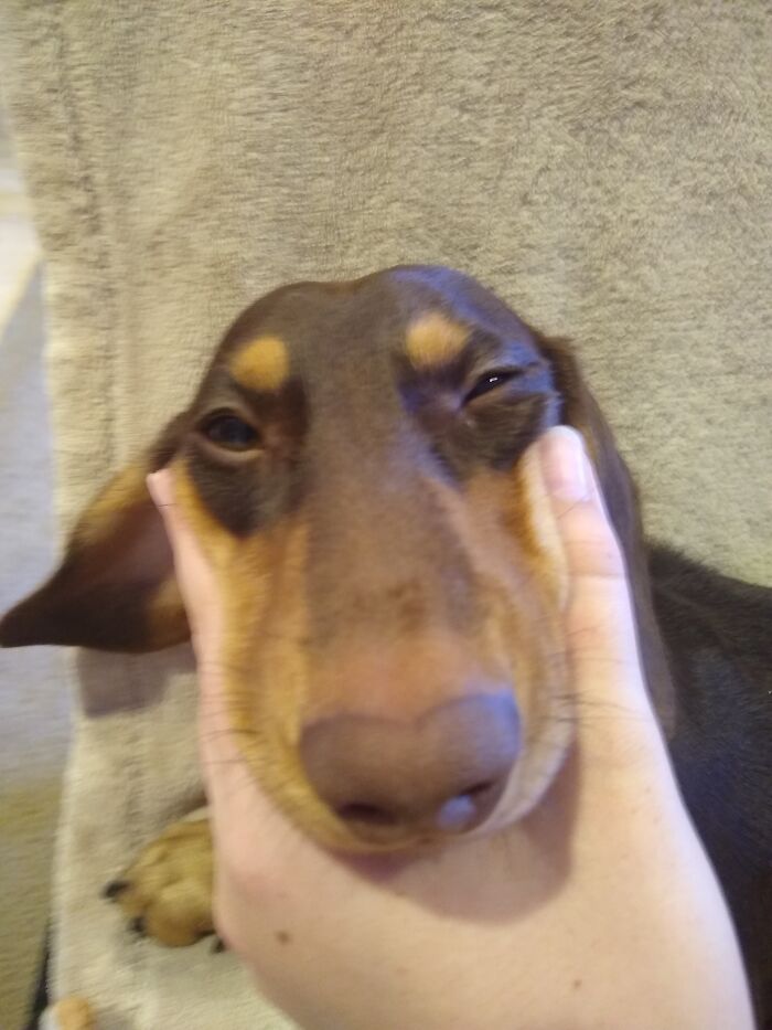 My Sleepy Lil Boi 💕