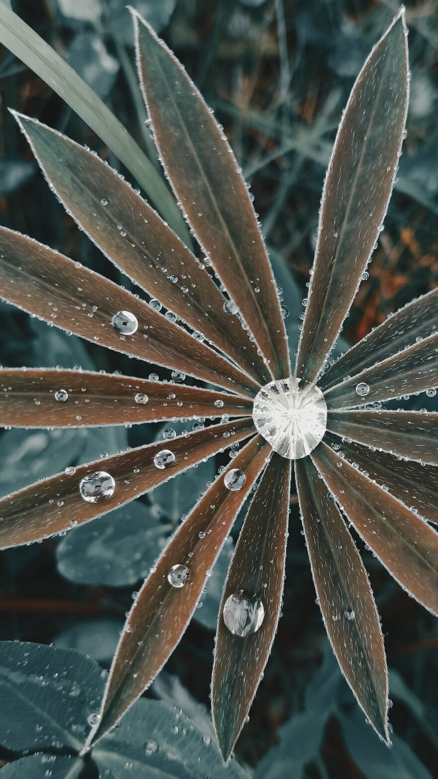 I Took Some Pics Of A Ukrainian Village