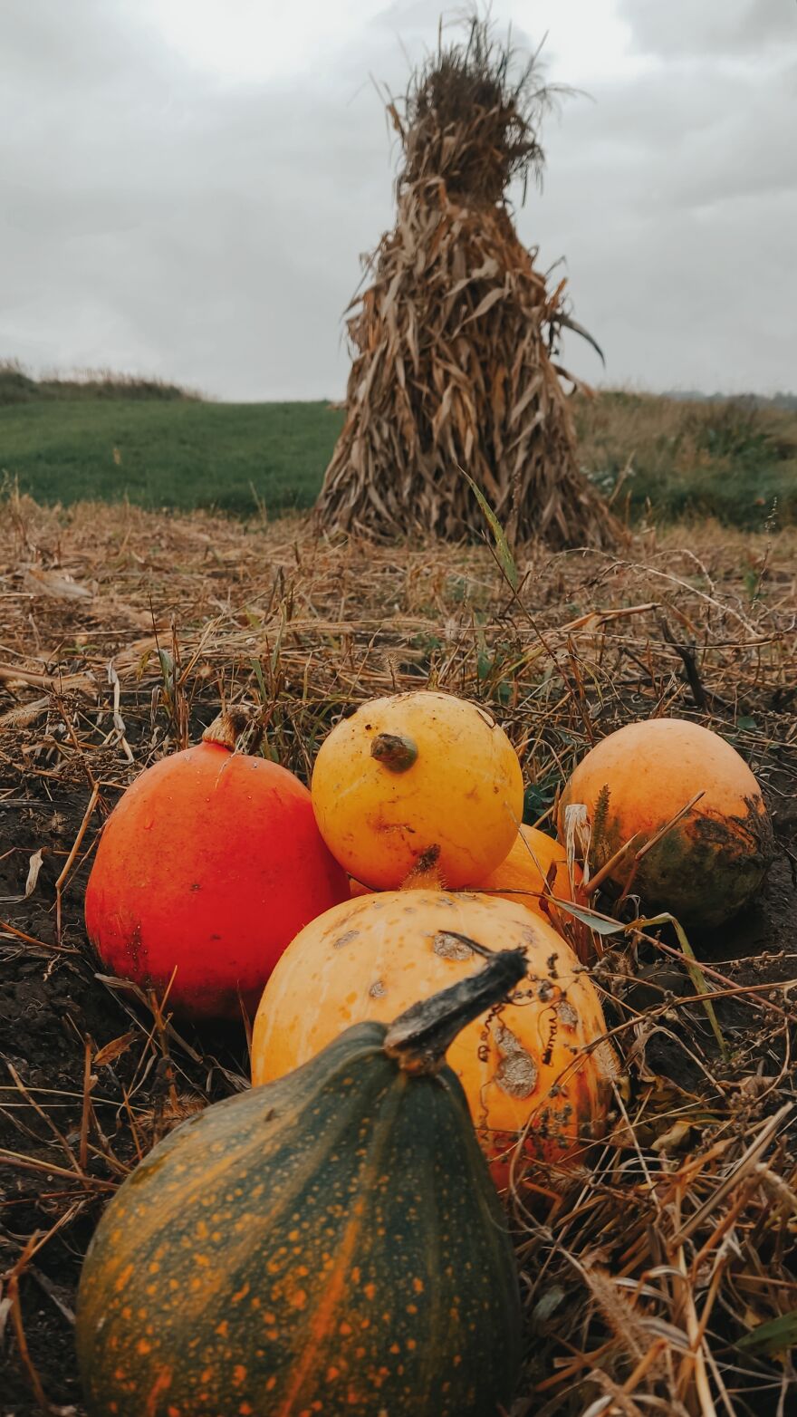 I Took Some Pics Of A Ukrainian Village