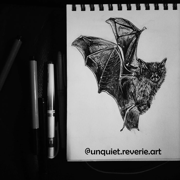 Tiny Little Bat For Inktober 2022