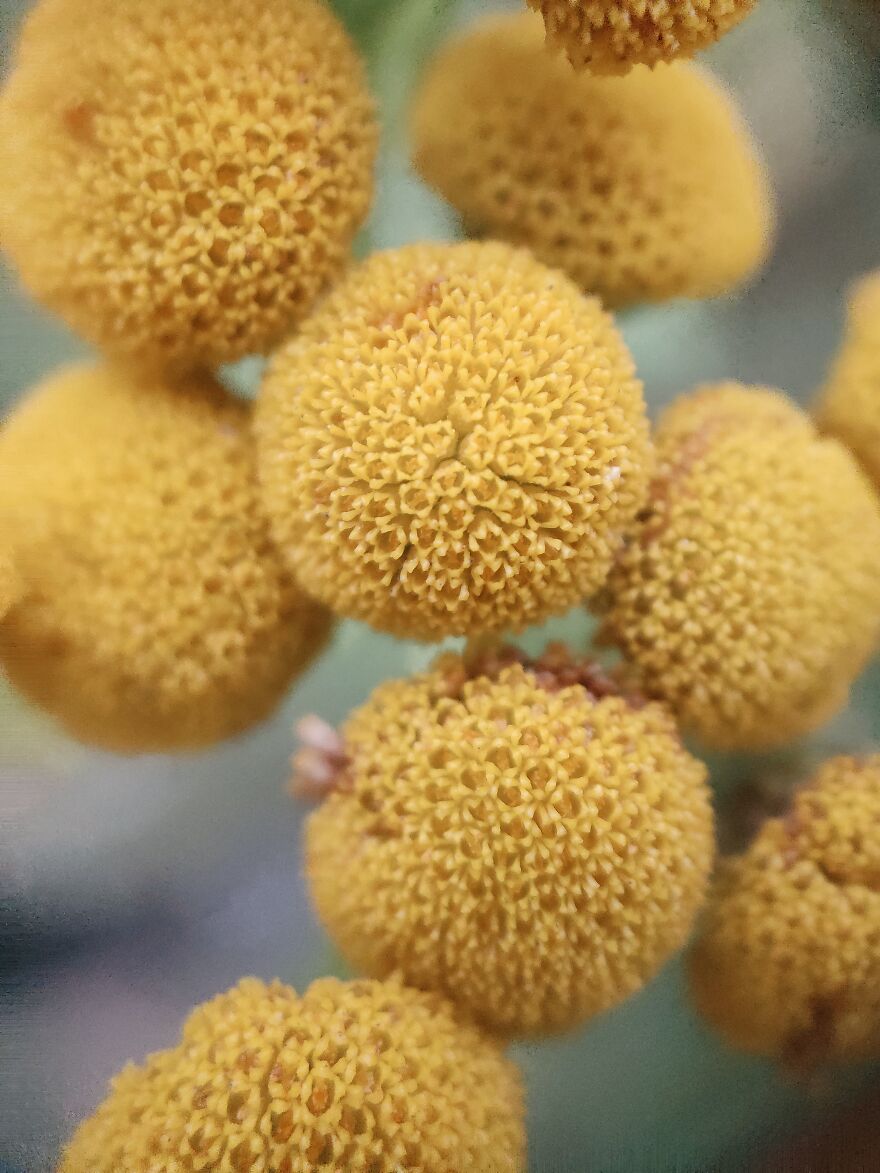 I Took Some Pics Of A Ukrainian Village