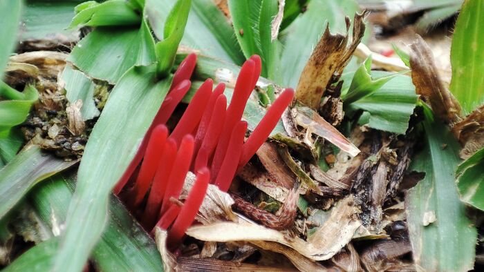 Kuala Ibai, Terengganu