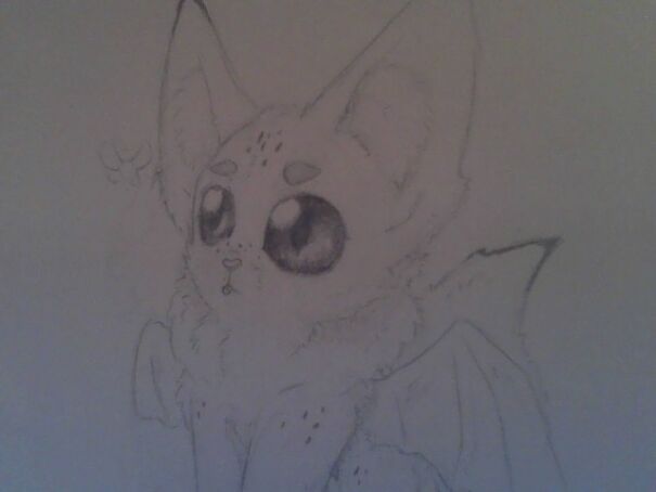 I Like Drawing Cute, Floofy, And Sometimes Creepy Creatures!