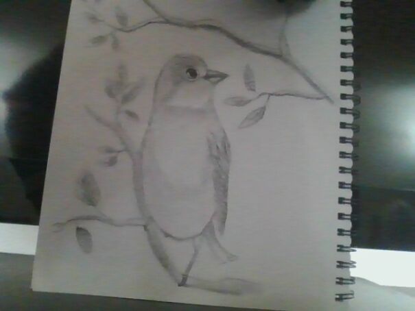 My Art