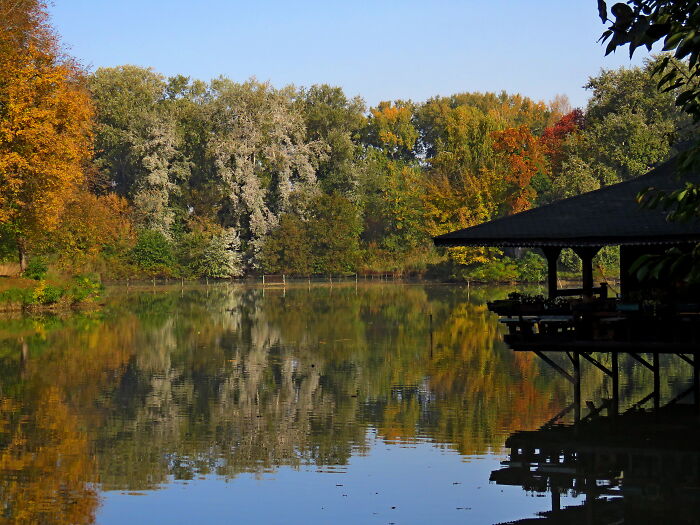 A Path Around A Small Pond, An Urban Oasis With Many Birds And Few People And A Few Minutes From My House 