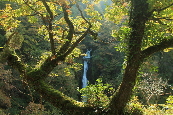 Mynach Falls, Devil's Bridge, Wales