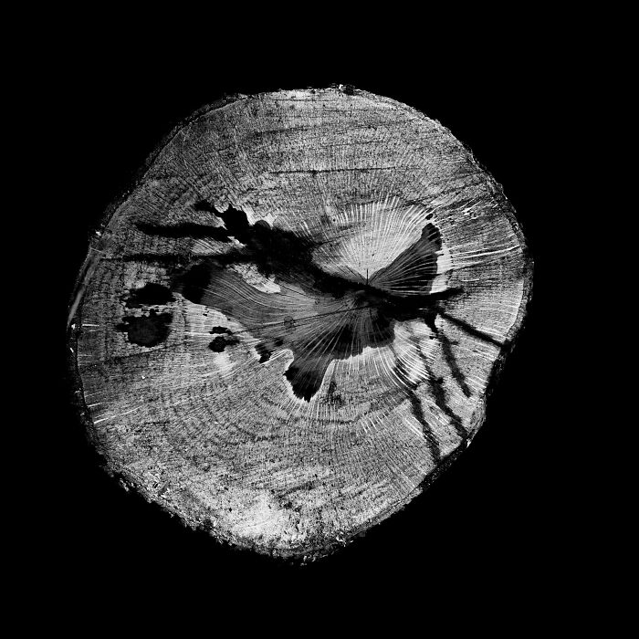 Oriel © Ellen Konar And Steve Goldband