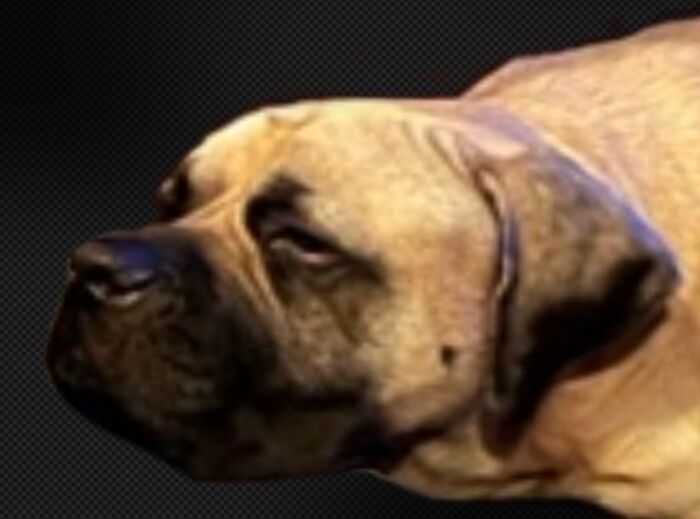 I Don't Know How To Start?