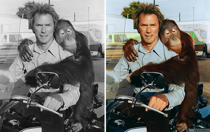 Manis el Orangután y Clint Eastwood, detrás de las escenas de la película "Duro de pelar" por James Fargo (1978)