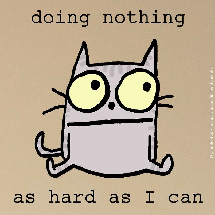 New Fun Comics To Brighten Your Day By Artist Jim Benton