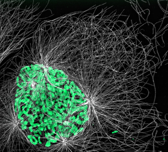 Honorable Mention - Reuben Philip