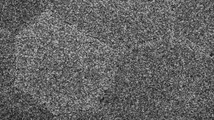 Honorable Mention - Dr. Zhiguo He