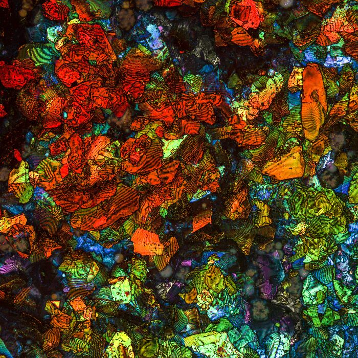 Imagen Destacada - Teresa Zgoda