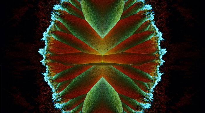 Image Of Distinction - Nabodita Sinha, Dr. Ashwani Thakur