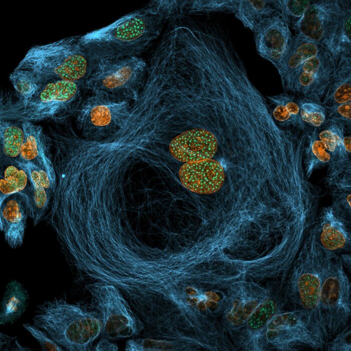 Image Of Distinction - Joe Mckellar