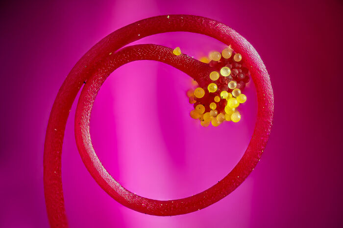 Imagen Destacada - Gabriel Fernández Fernández Jorge Alberto