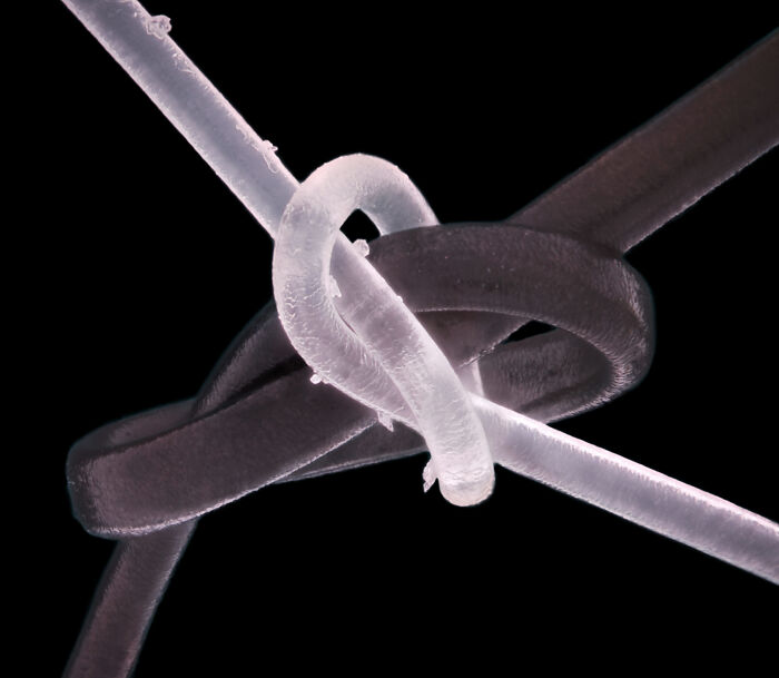 Imagen Destacada - Ahmad Fauzan