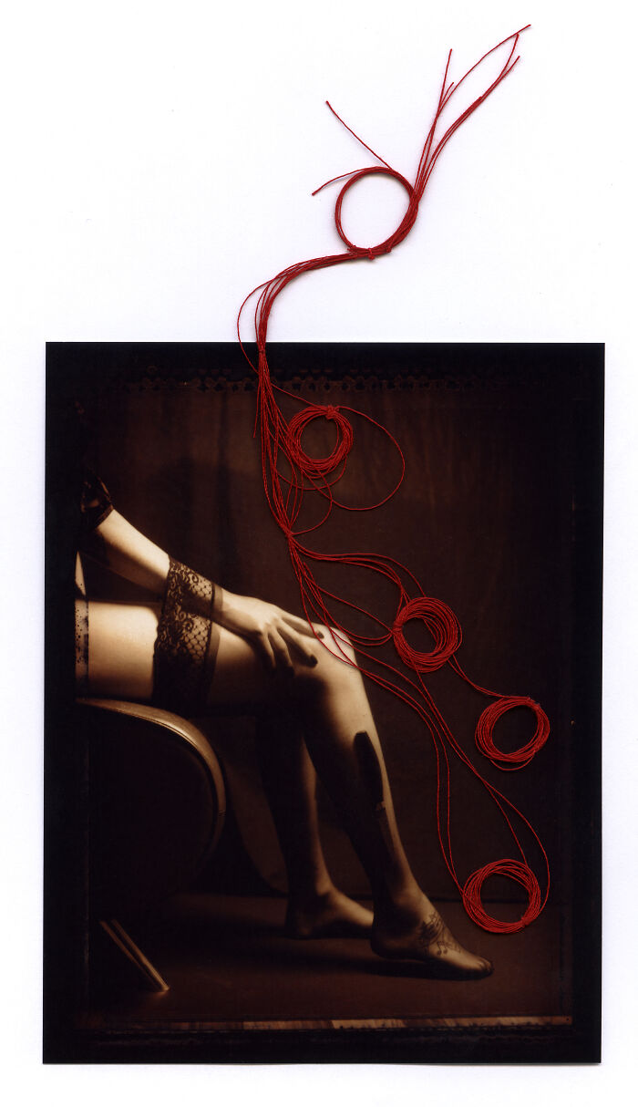 Oocitos Ovarios © Shesaidred