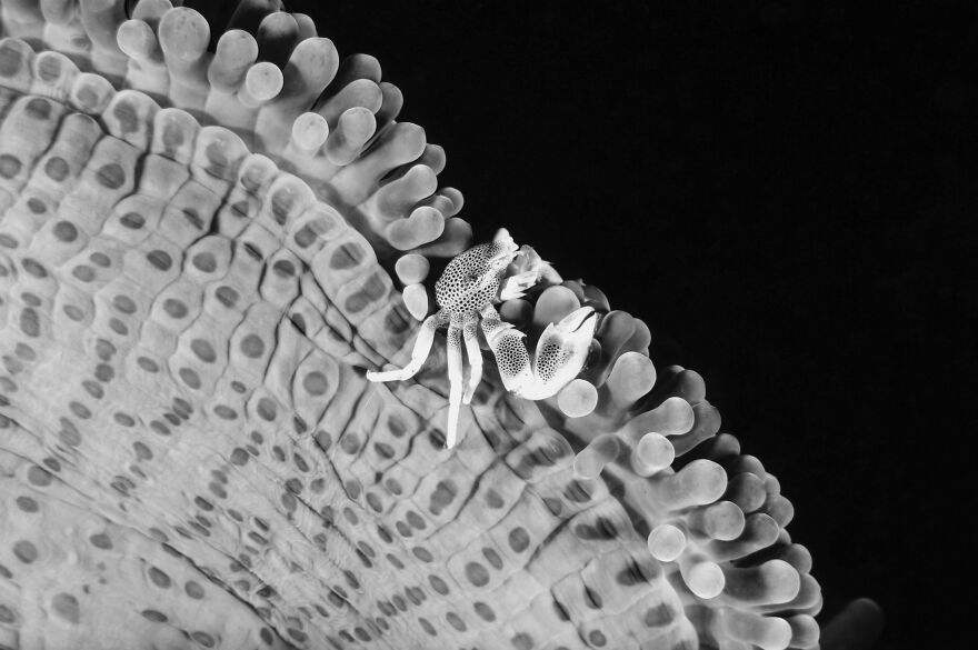 Finalist, Fine Art Photographer Of The Year