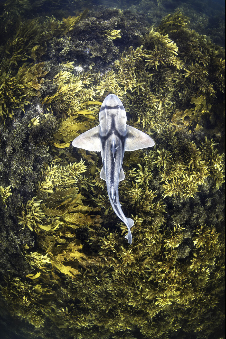 Finalist, Fine Art Photographer Of The Year