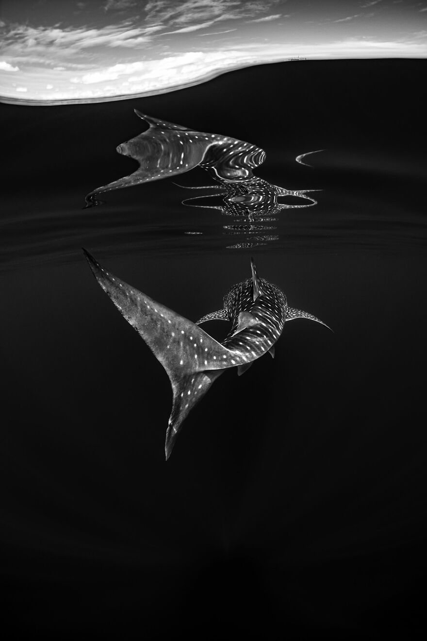 Finalist, Fine Art Photographer Of The Year