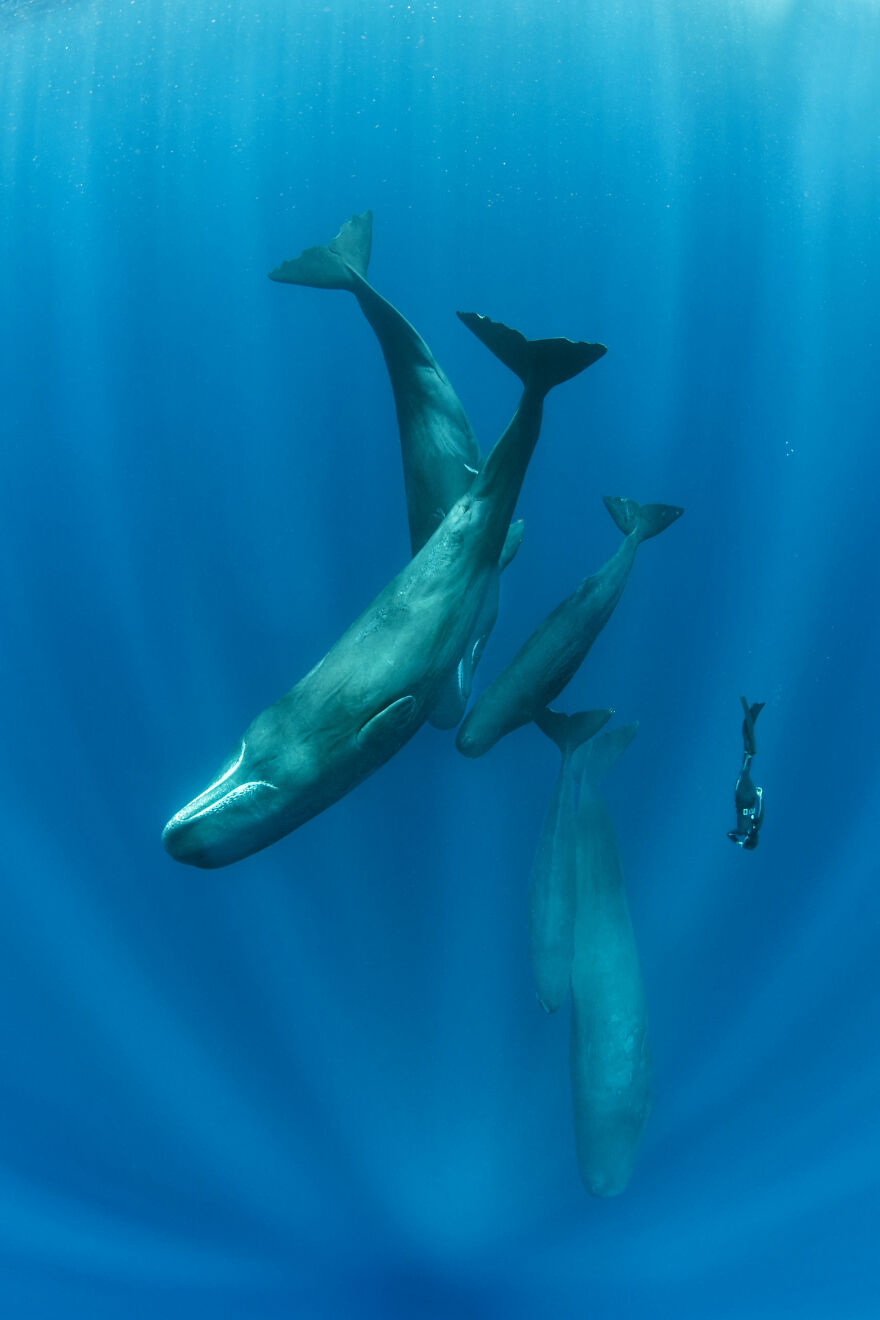 2nd Place, Adventure Photographer Of The Year