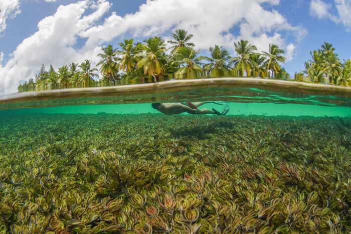 Finalista, fotógrafo de aventura del año