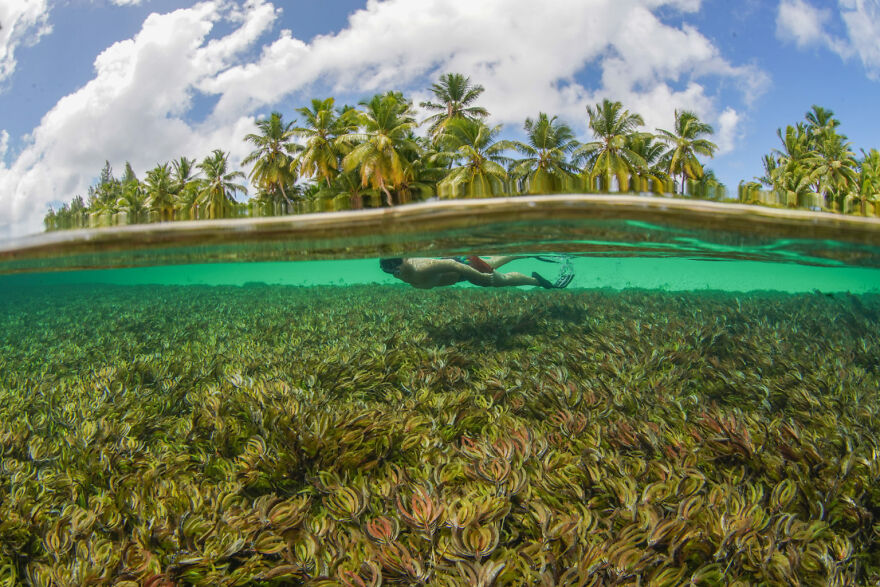 Finalist, Adventure Photographer Of The Year