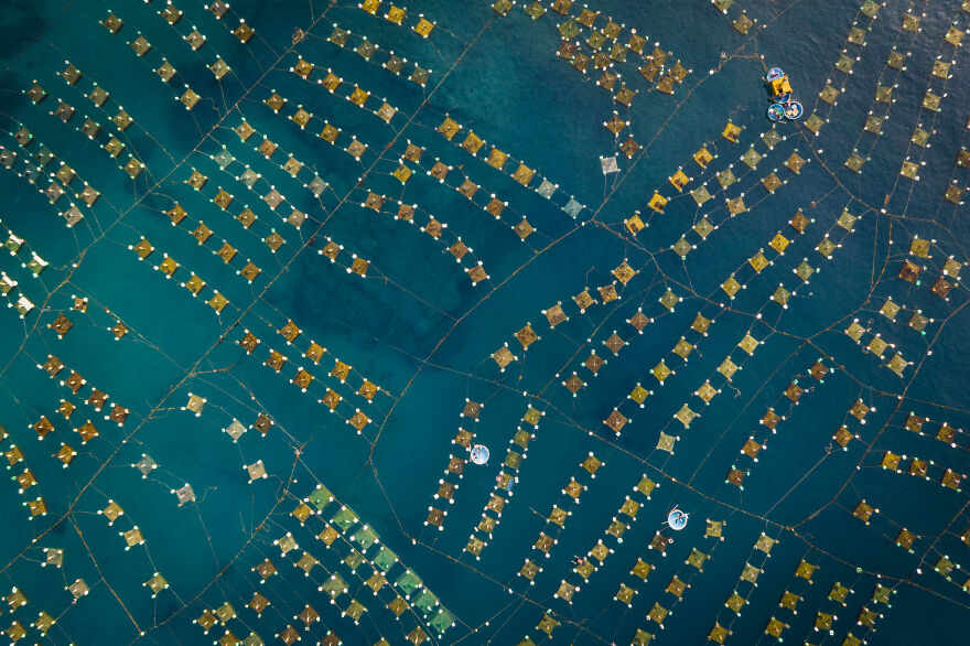 Finalist, Conservation (Impact) Photographer Of The Year